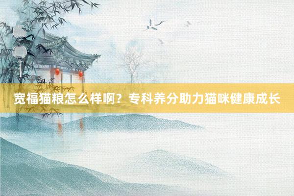宽福猫粮怎么样啊？专科养分助力猫咪健康成长