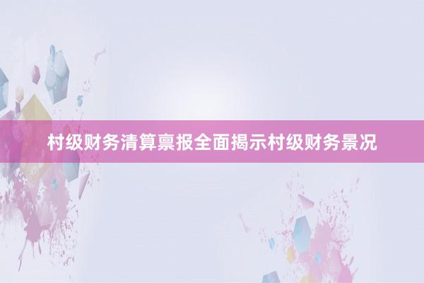 村级财务清算禀报全面揭示村级财务景况